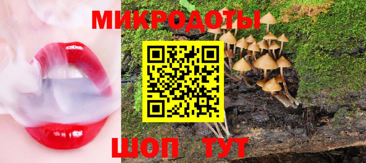 Тихорецк  Псилоцибиновые грибы MAGIC MUSHROOMS  Вход с VPN 