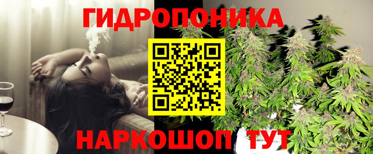 Шишки марихуана OG Kush Тихорецк